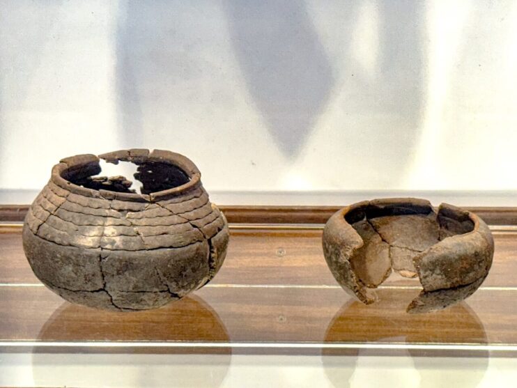 WhatsApp Image 2025-06-16 at 21.31.53 (3) Porto Seguro inaugura Museu de Arqueologia com exposição que resgata 5.000 anos de história 16