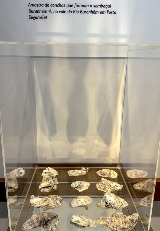 WhatsApp Image 2025-06-16 at 21.31.53 Porto Seguro inaugura Museu de Arqueologia com exposição que resgata 5.000 anos de história 17