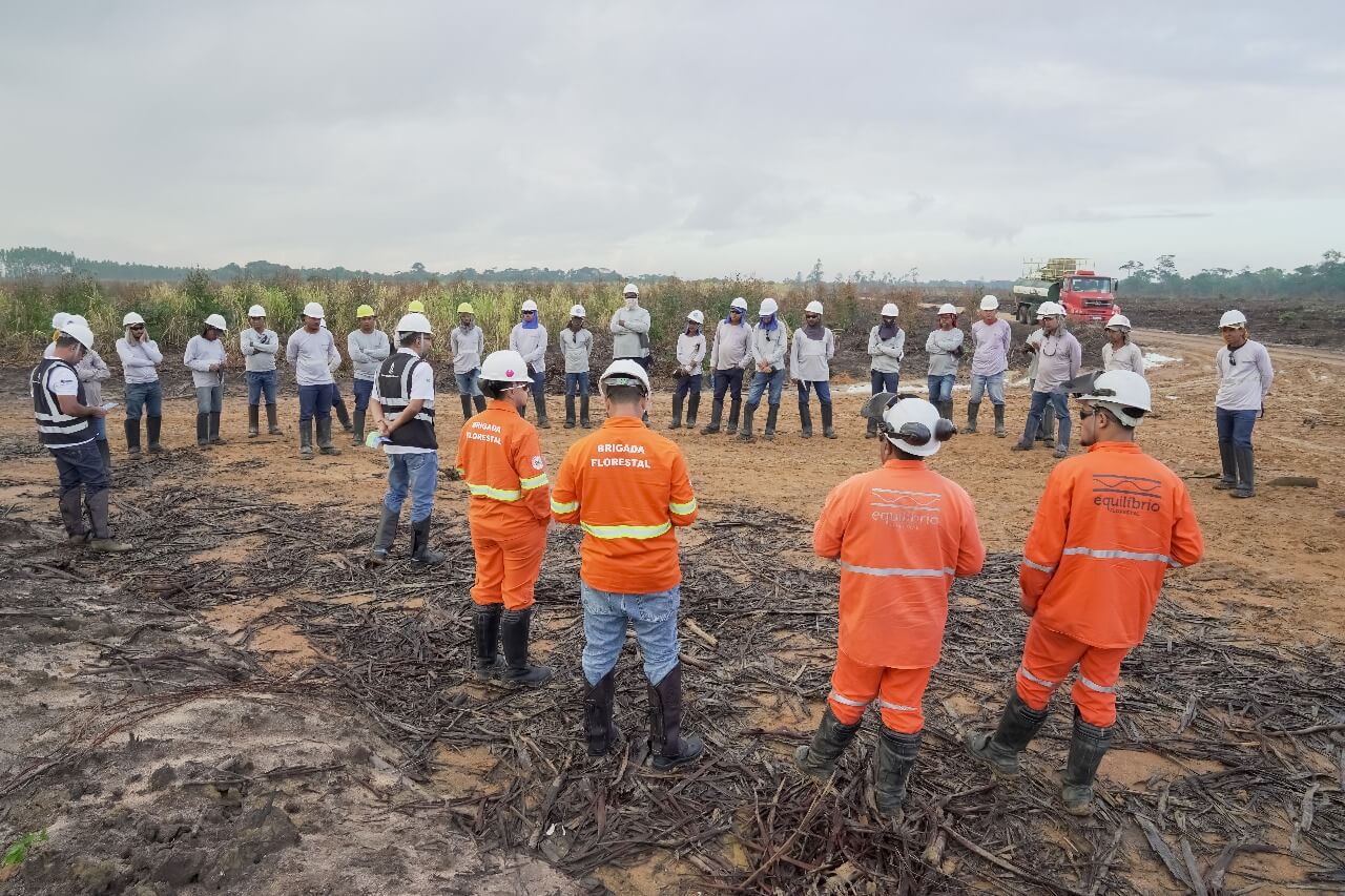 No Dia de Proteção às Florestas, Suzano destaca programa que já impactou mais de 8 mil pessoas em 2025 1
