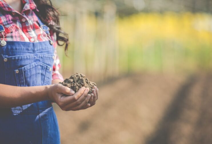 Fertilizantes ajudam a recuperar o solo, mesmo após inundações Fertilizantes ajudam a recuperar o solo, mesmo após inundações 4