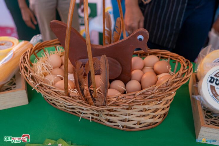 DSC_1640 Prefeitura de Frei Gaspar realiza a 28ª edição do Encontro dos Produtores Rurais 33