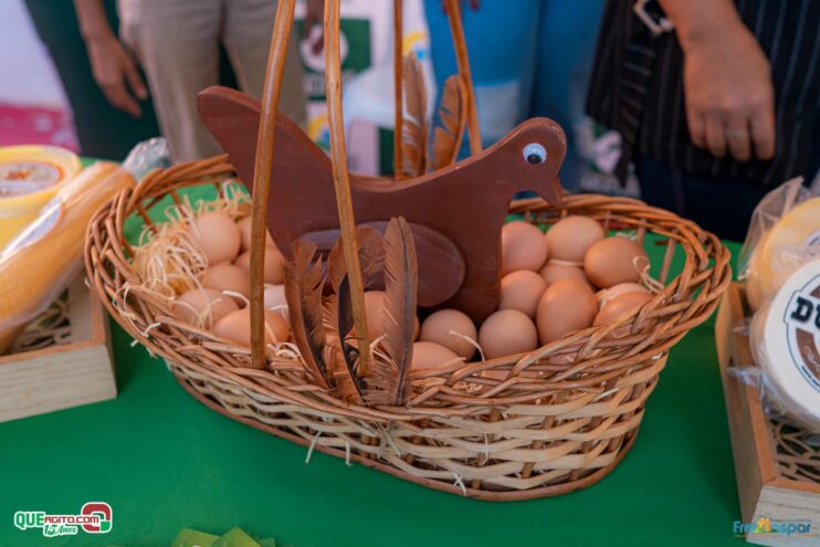 DSC_1641 Prefeitura de Frei Gaspar realiza a 28ª edição do Encontro dos Produtores Rurais 34