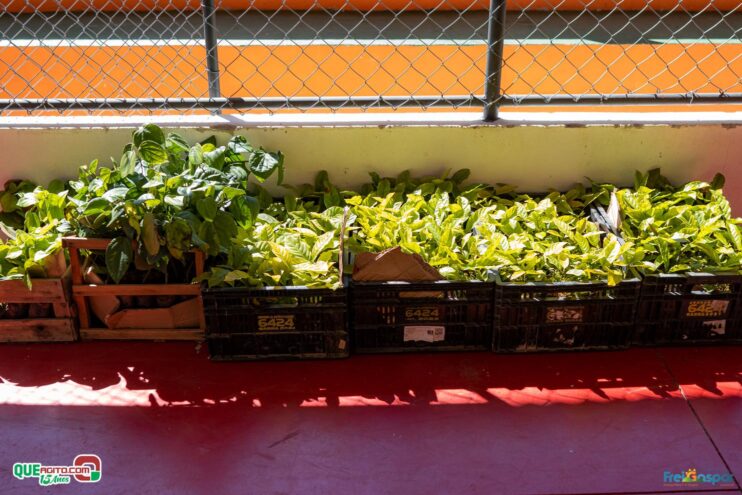 DSC_1657 Prefeitura de Frei Gaspar realiza a 28ª edição do Encontro dos Produtores Rurais 47