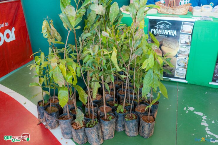 DSC_1930 Prefeitura de Frei Gaspar realiza a 28ª edição do Encontro dos Produtores Rurais 156