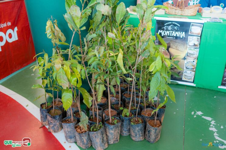 DSC_1931 Prefeitura de Frei Gaspar realiza a 28ª edição do Encontro dos Produtores Rurais 157