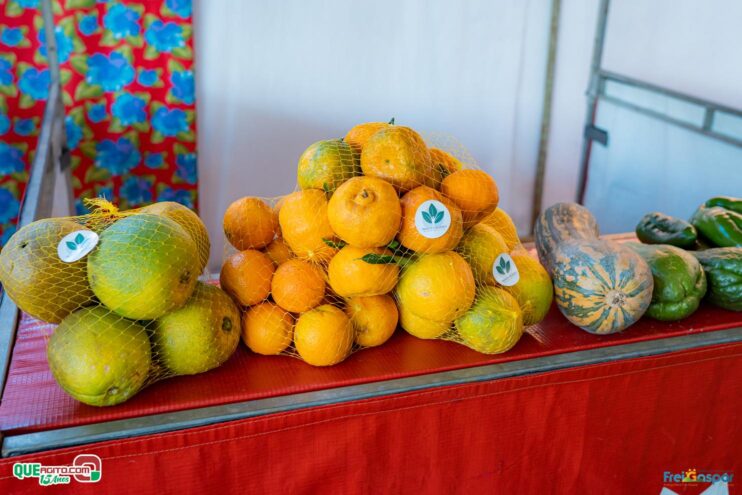 DSC_1932 Prefeitura de Frei Gaspar realiza a 28ª edição do Encontro dos Produtores Rurais 158