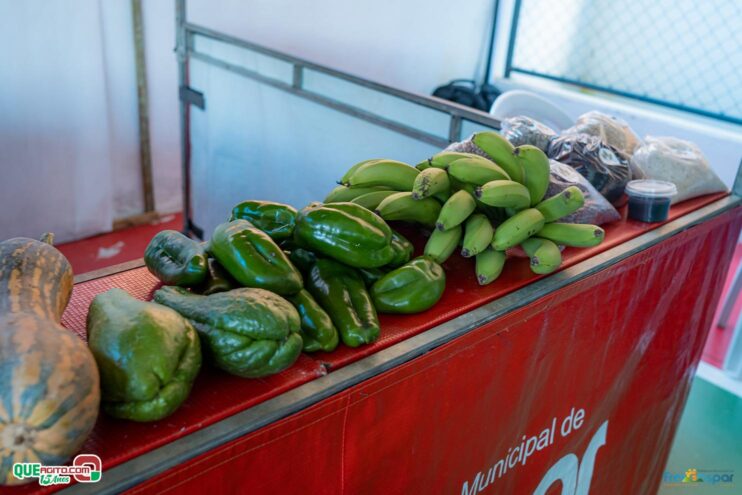 DSC_1933 Prefeitura de Frei Gaspar realiza a 28ª edição do Encontro dos Produtores Rurais 159