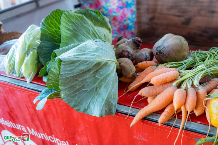 DSC_1937 Prefeitura de Frei Gaspar realiza a 28ª edição do Encontro dos Produtores Rurais 163