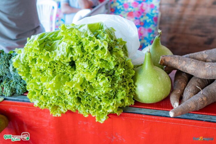 DSC_1938 Prefeitura de Frei Gaspar realiza a 28ª edição do Encontro dos Produtores Rurais 164