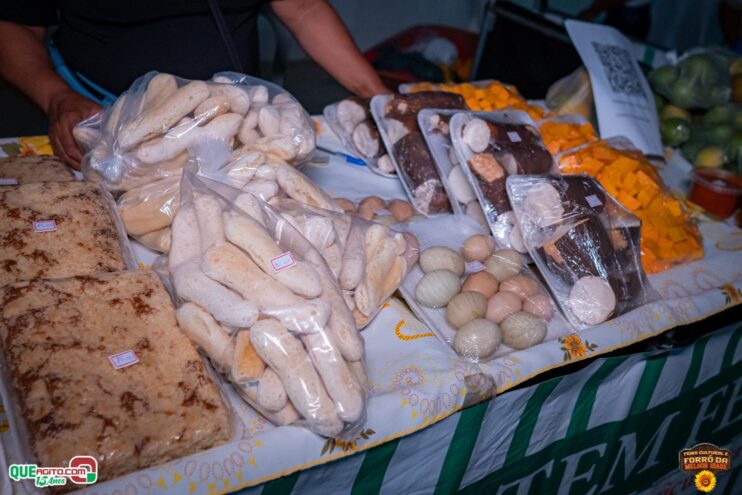 DSC_9650 Feira Cultural e Forró da Melhor Idade abrem os festejos do Freigasparense Ausente 2025 21