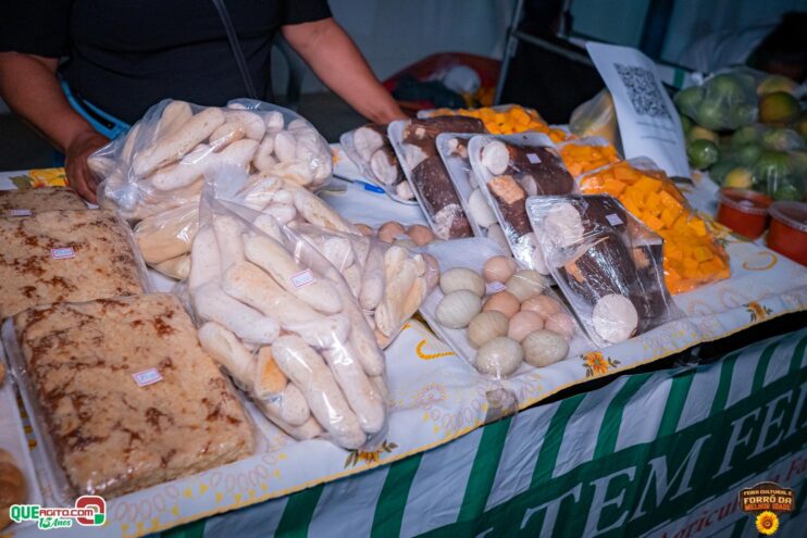 DSC_9651 Feira Cultural e Forró da Melhor Idade abrem os festejos do Freigasparense Ausente 2025 22