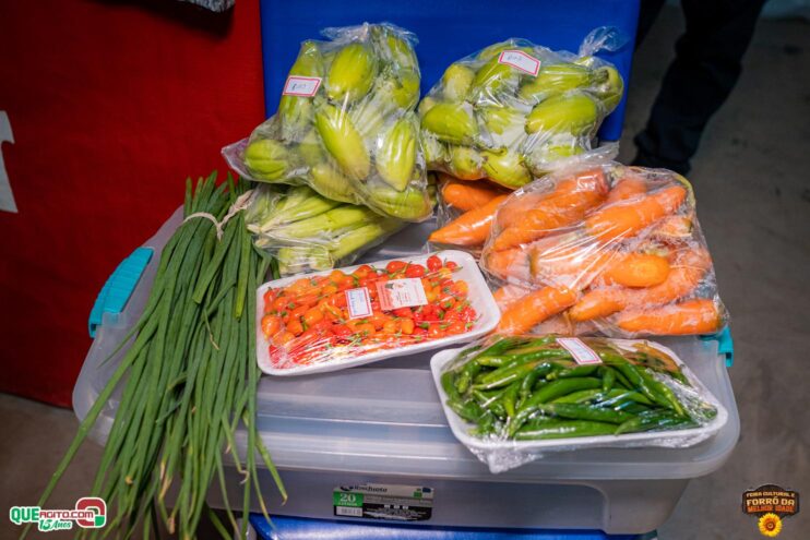 DSC_9661 Feira Cultural e Forró da Melhor Idade abrem os festejos do Freigasparense Ausente 2025 32