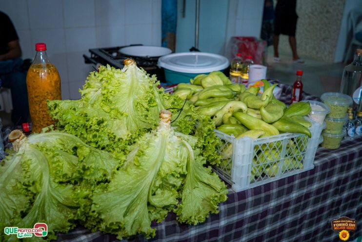 DSC_9674 Feira Cultural e Forró da Melhor Idade abrem os festejos do Freigasparense Ausente 2025 41