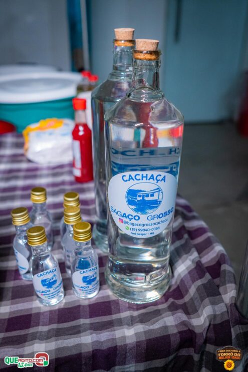 DSC_9676 Feira Cultural e Forró da Melhor Idade abrem os festejos do Freigasparense Ausente 2025 42