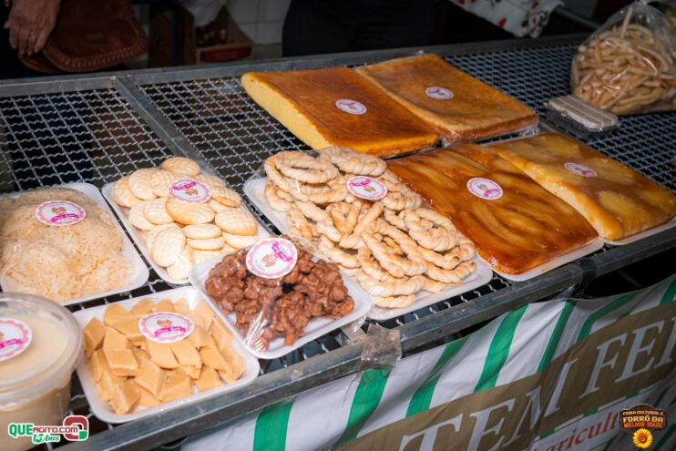 DSC_9725 Feira Cultural e Forró da Melhor Idade abrem os festejos do Freigasparense Ausente 2025 69