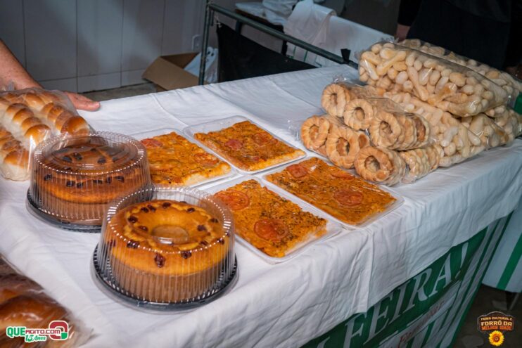 DSC_9734 Feira Cultural e Forró da Melhor Idade abrem os festejos do Freigasparense Ausente 2025 73