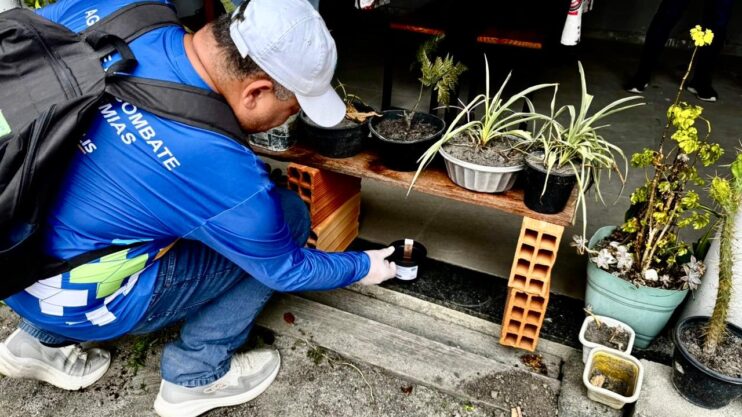 Com foco na prevenção, Eunápolis amplia técnicas de monitoramento mais eficaz contra o mosquito da dengue Com foco na prevenção, Eunápolis amplia técnicas de monitoramento mais eficaz contra o mosquito da dengue 5