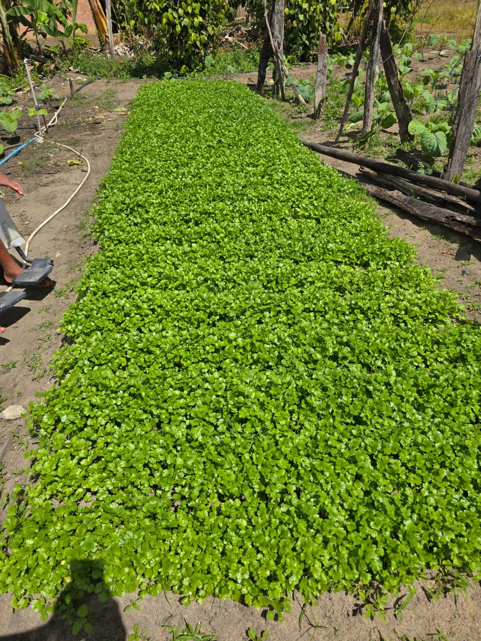 Prefeitura cadastra pequenos agricultores de Porto Seguro 32