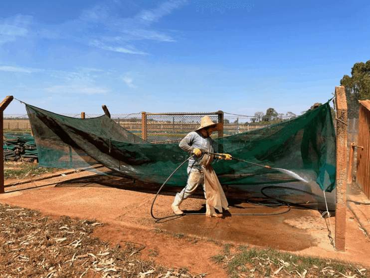 Você sabia que tem faxina na piscicultura, com processo rigoroso de limpeza e desinfecção? 4