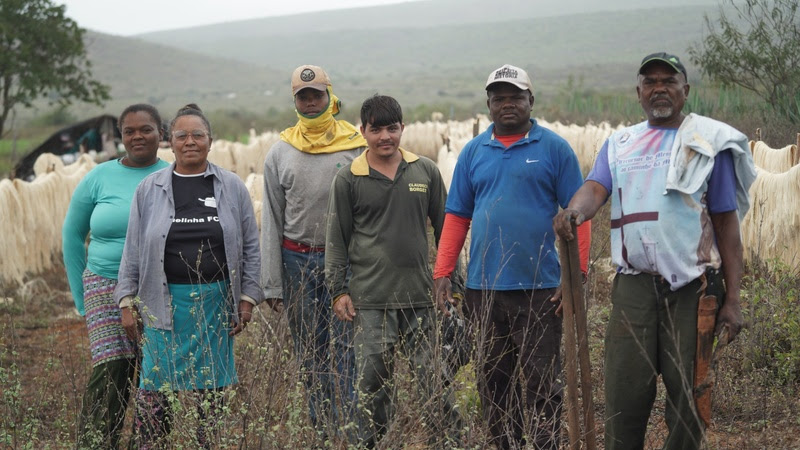 Em iniciativa inédita, Binatural adota biomassa de coco de piaçava na produção de biodiesel e fortalece agricultura familiar na Bahia 6