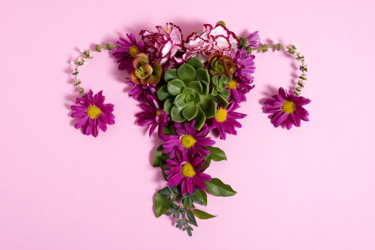 Menopausa sem tabu: informação e tratamento individualizado são essenciais para enfrentar processo Menopausa sem tabu: informação e tratamento individualizado são essenciais para enfrentar processo 11