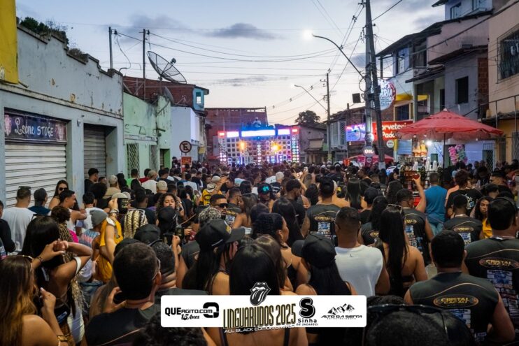 DSC_0103 Bloco Linguarudos atrai multidão em desfile no Festival do Cacau e Chocolate em Camacã 1137