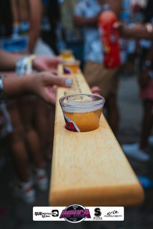 Bloco da Impuca completa 15 anos e arrasta multidão pelas ruas de Camacã 788