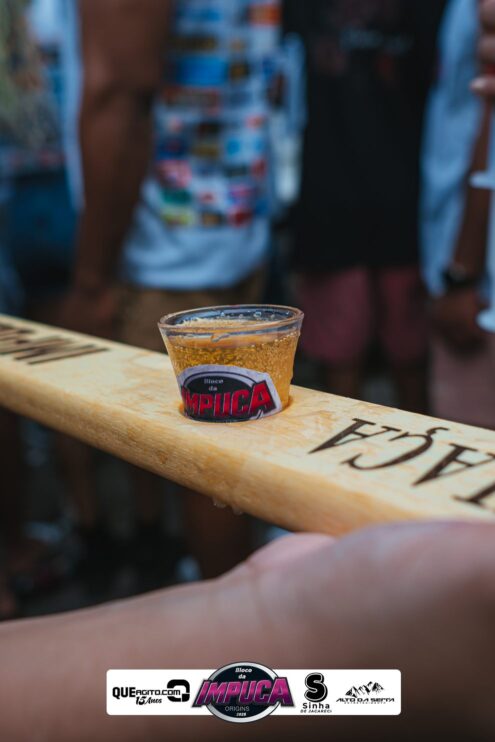 Bloco da Impuca completa 15 anos e arrasta multidão pelas ruas de Camacã 789