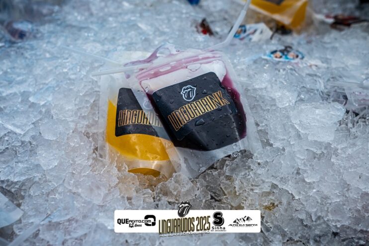 DSC_9228 Bloco Linguarudos atrai multidão em desfile no Festival do Cacau e Chocolate em Camacã 16