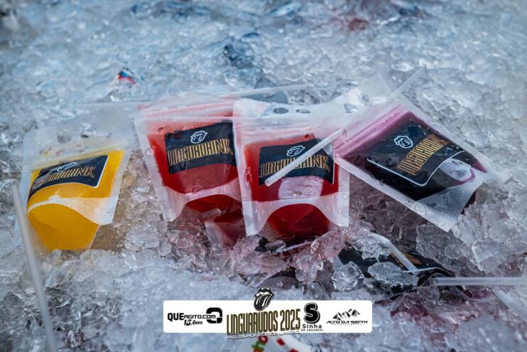 DSC_9229 Bloco Linguarudos atrai multidão em desfile no Festival do Cacau e Chocolate em Camacã 17