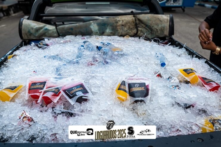 DSC_9231 Bloco Linguarudos atrai multidão em desfile no Festival do Cacau e Chocolate em Camacã 18