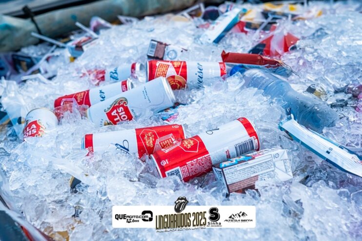 DSC_9310 Bloco Linguarudos atrai multidão em desfile no Festival do Cacau e Chocolate em Camacã 63