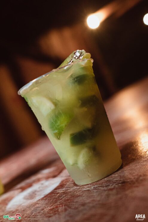 Gab Lopes e Me Leva 73 agitam a Saidêra da Area Beach 11