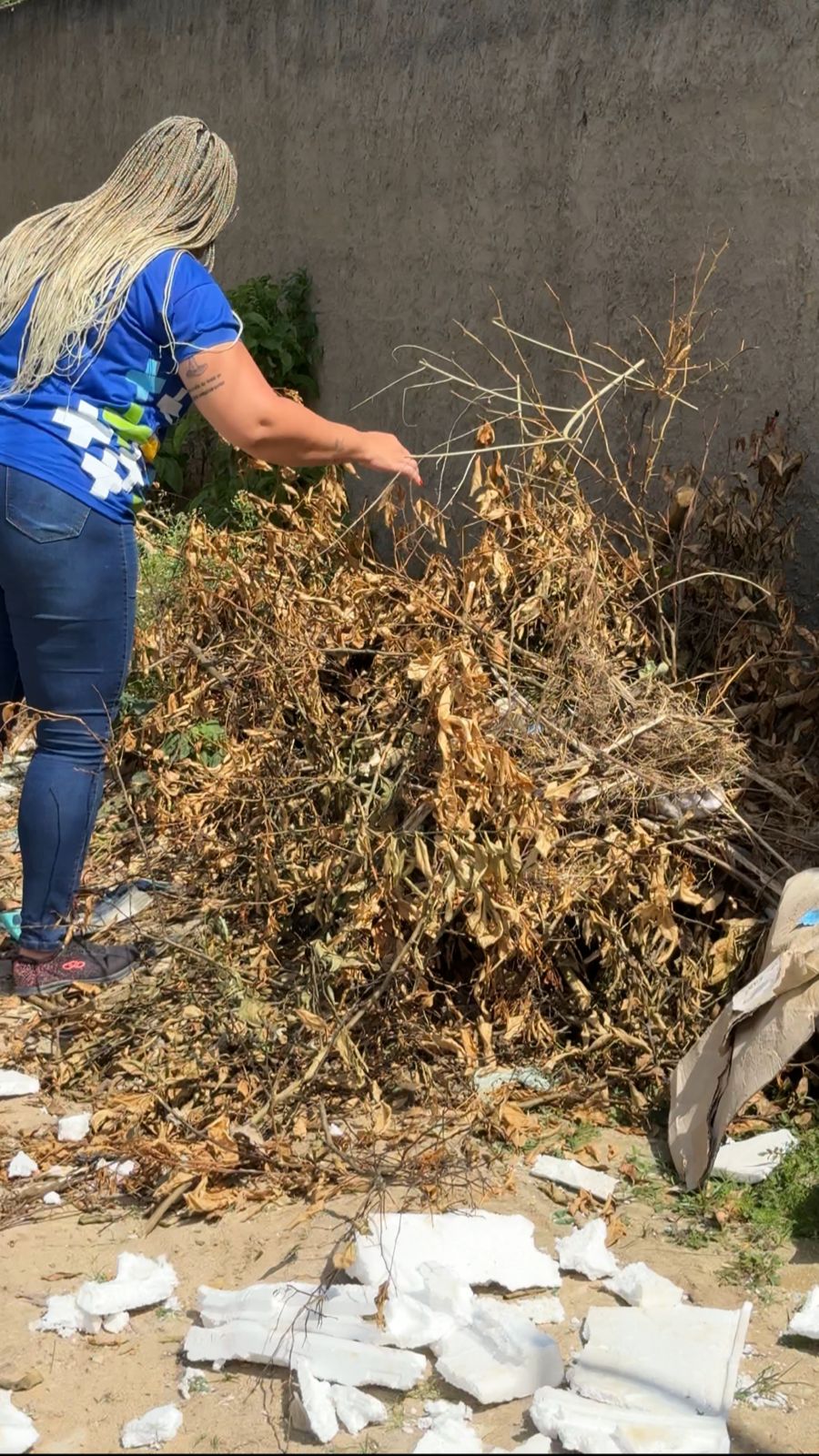 Prefeitura de Eunápolis reforça combate a escorpiões 5