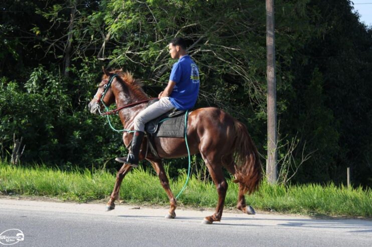 Porto Seguro vive domingo histórico com a Corrida da Ponte 18