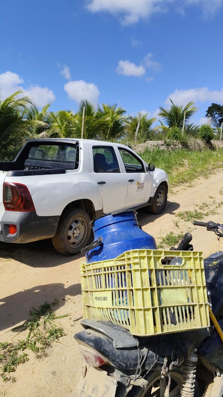 Pesquisa identifica produção de gado leiteiro em Porto Seguro 7