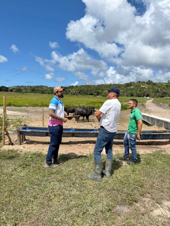 Pesquisa identifica produção de gado leiteiro em Porto Seguro 4