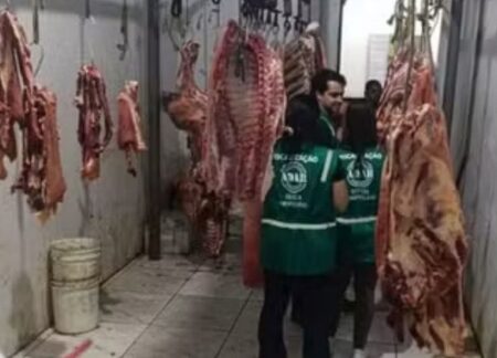 Adab apreende 100 kg de carne contaminada com tuberculose bovina no sul baiano 12