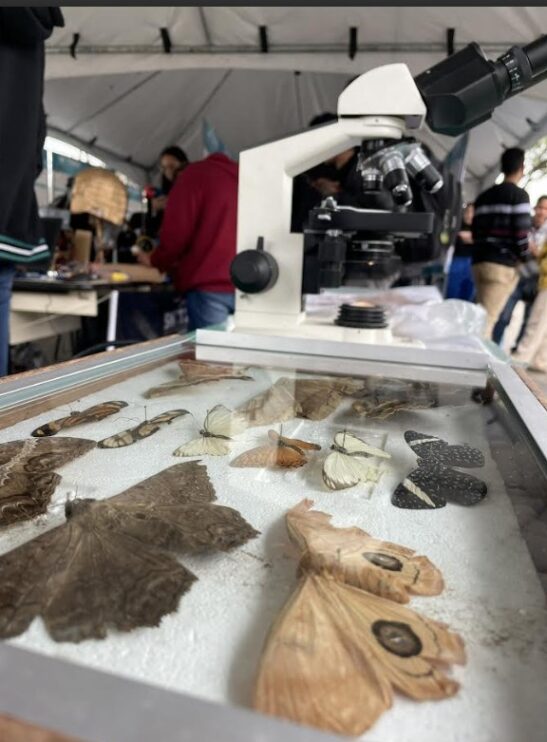 Captura de tela 2025-10-25 183341 Prefeitura de Eunápolis apoia 22ª Semana Nacional de Ciência e Tecnologia do IFBA 14