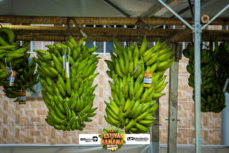 Prefeitura de São Geraldo da Piedade realiza Passeio Ciclístico, Trenzinho da Alegria e Rua de Lazer 14