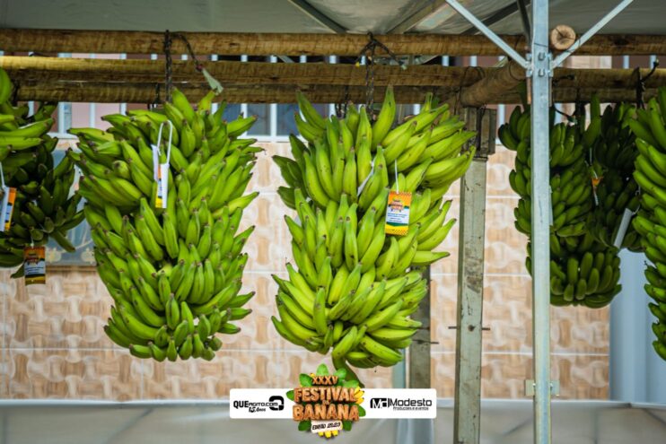 Prefeitura de São Geraldo da Piedade realiza Passeio Ciclístico, Trenzinho da Alegria e Rua de Lazer 15