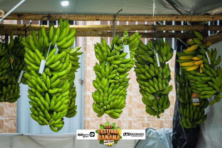 Prefeitura de São Geraldo da Piedade realiza Passeio Ciclístico, Trenzinho da Alegria e Rua de Lazer 16