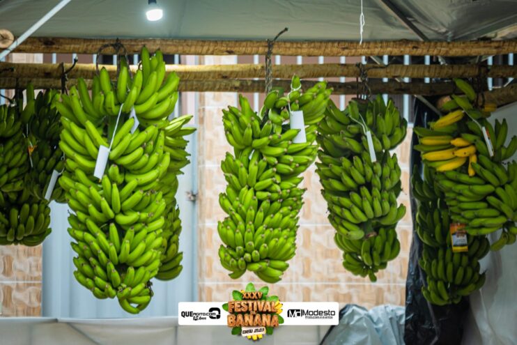 Prefeitura de São Geraldo da Piedade realiza Passeio Ciclístico, Trenzinho da Alegria e Rua de Lazer 17