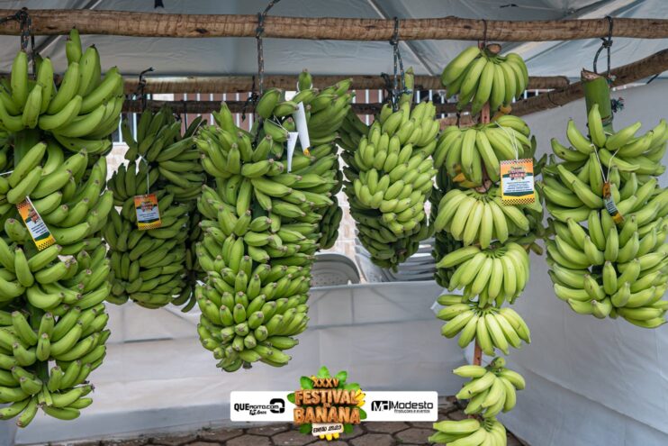 Marcos e Pablo agitam a última noite do Festival da Banana 2025 39