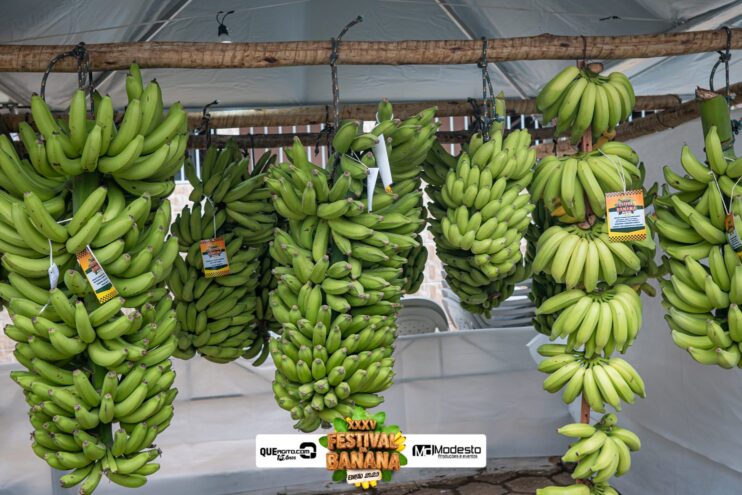 Marcos e Pablo agitam a última noite do Festival da Banana 2025 40