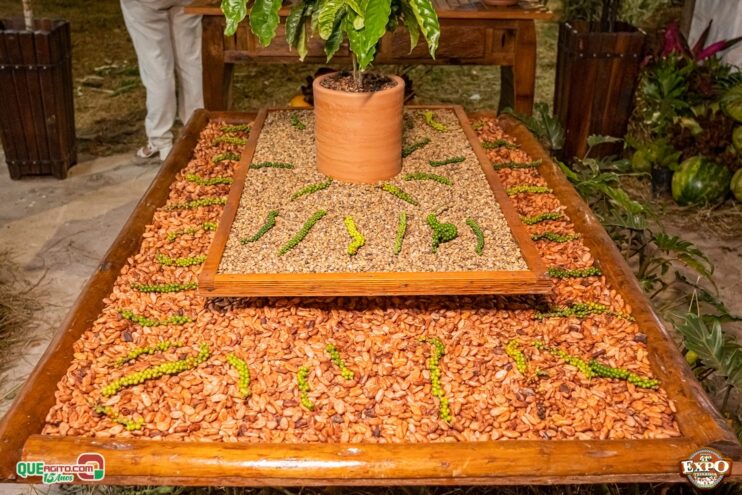 DSC_3351 Com apoio do Governo da Bahia, Expo Teixeira 2025 começa com grande celebração 107