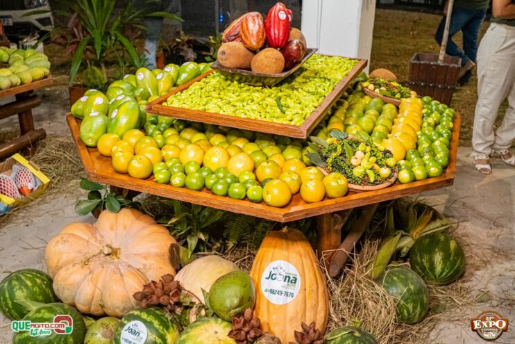 DSC_3353 Com apoio do Governo da Bahia, Expo Teixeira 2025 começa com grande celebração 108