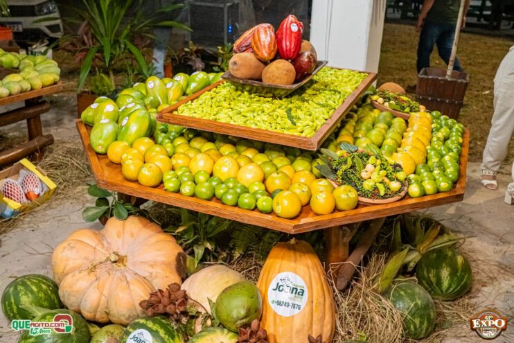 DSC_3354 Com apoio do Governo da Bahia, Expo Teixeira 2025 começa com grande celebração 109