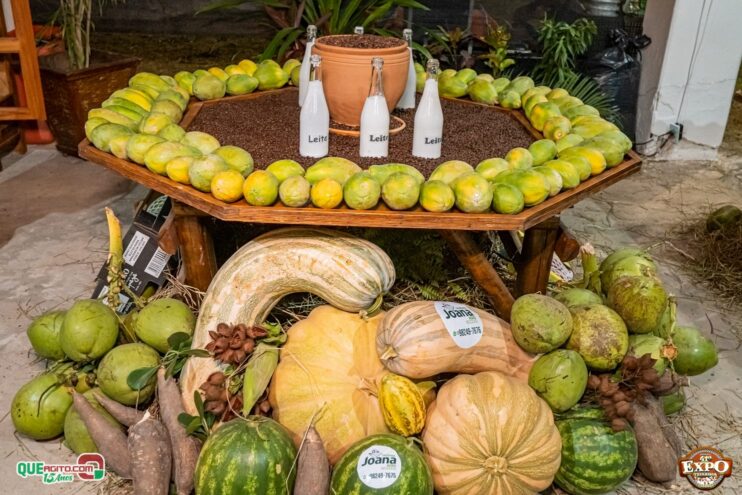 DSC_3355 Com apoio do Governo da Bahia, Expo Teixeira 2025 começa com grande celebração 110