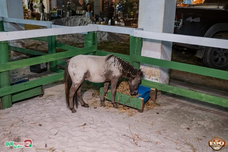 DSC_3407 Com apoio do Governo da Bahia, Expo Teixeira 2025 começa com grande celebração 143